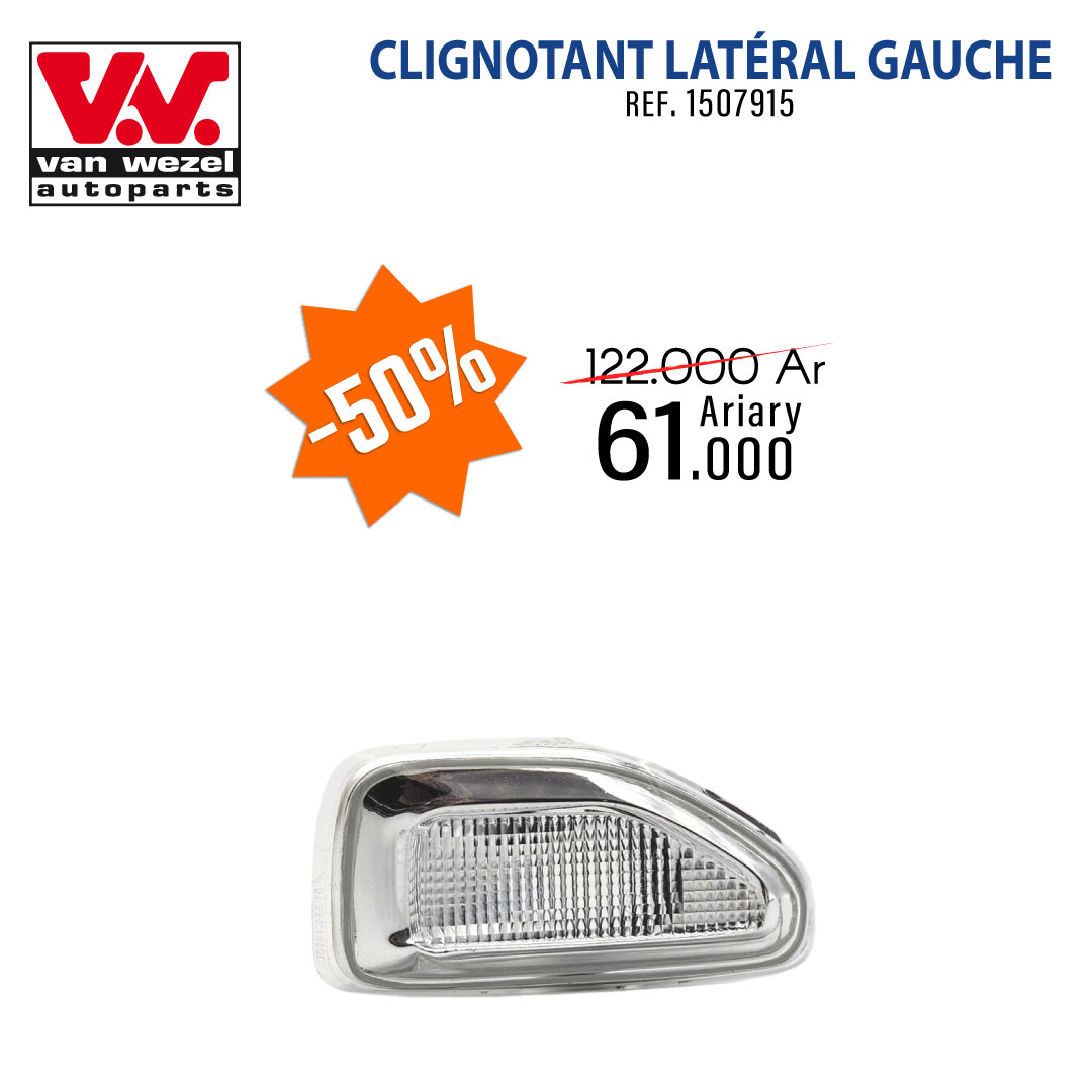 Clignotant latéral gauche